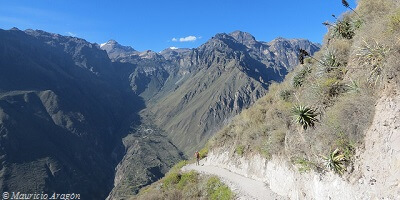 Arequipa Colca Canyon Trek 3 Days