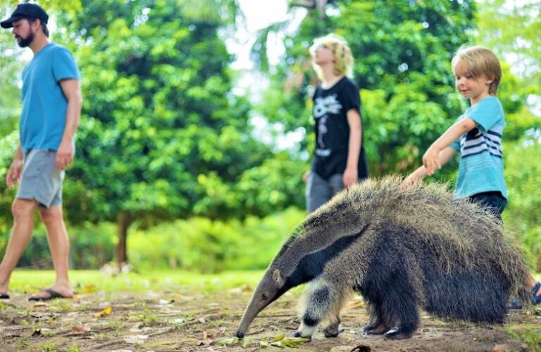 Iquitos Avatar Lodge Tour 3 Days
