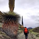 Road to Vilcabamba 1