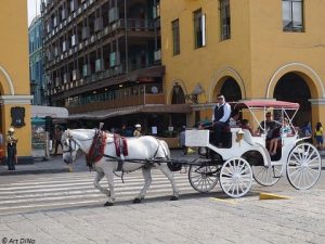 lima-city-tour-horse-riding